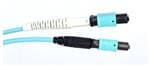 Immagine ingrandita Amphenol Fiber Optics 943-99695-10010