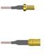 Amphenol Custom Cable Q-2V03W0005012i