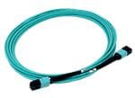 Megladon Manufacturing MPO/MTP® Singlemode & Multimode Fiber Patch Cables
