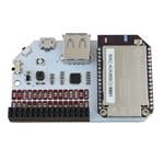 Immagine ingrandita Onion OM-D-EXP