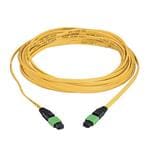 Immagine ingrandita Panduit F912D5-5F10Y
