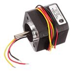 Immagine ingrandita Texas Instruments LVBLDCMTR