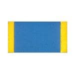 Immagine ingrandita Vishay PHT0402E10R0BGTD